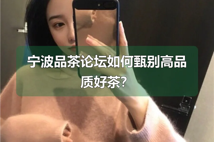 宁波品茶论坛如何甄别高品质好茶?